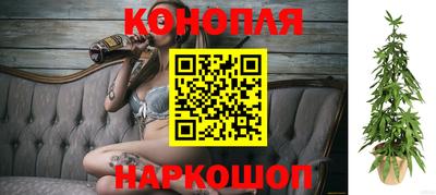 круглые Камень-на-Оби