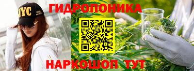 круглые Камень-на-Оби