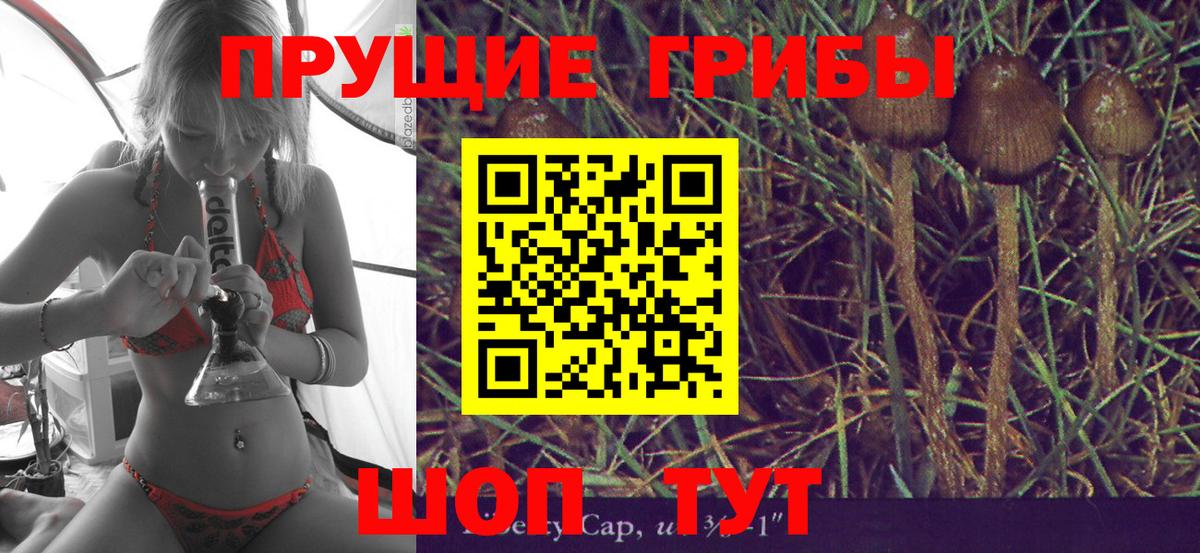 Богородск  где можно купить   Вход с VPN  Галлюциногенные грибы Magic Shrooms 